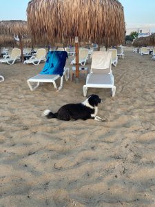 Dalian Shipbuilding доставя 307 000-тонен кораб за суров петрол на южнокорейския собственик