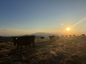 Price reductions surge as sellers face challenging market