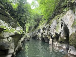 Капацитетът на ядрената енергия на Китай е на първо място в света