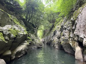 Hinckley HMO restrictions approved despite divided response