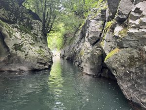 Landlord property sales decline 45% as rental exodus slows