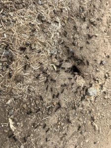 Кратки видеоклипове, показващи зашеметяващи снимки на Хъбей, хипнотизират посетителите