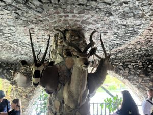 Годишната сесия на висшия политически консултативен орган на Китай ще продължи от 4 до 11 март