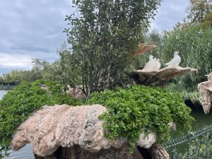 Съобщава се, че Индия преговаря с Ant International за свързване на UPI с Alipay+ · TechNode