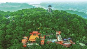 Dubai distressed property market attracts bargain hunters