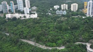 Property transactions taking six months for one in five buyers