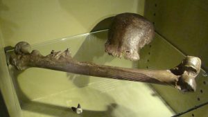 HKSAR трябва да засили ролята си на най-големия световен офшорен център за ренминби, казва политически съветник