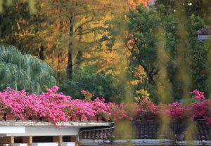 Жена получи смъртна присъда с отлагане за малтретиране на 3-годишния син на приятеля си